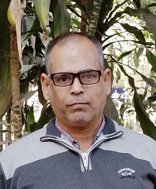 Emad Mohamed Abdel Tawab