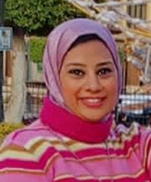 Shaimaa Ismail Abdo